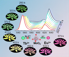 Graphical abstract: Visualized real-time flexible high-temperature sensing in Eu3+/Tb3+-doped Y2Mo3O12 negative thermal expansion material films