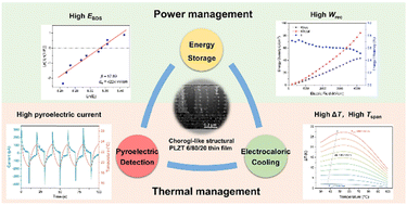 Graphical abstract: A multifunctional oriented nanocrystalline Pb0.91La0.06Zr0.8Ti0.2O3 relaxor ferroelectric thin film for chip power and thermal management