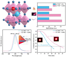 Graphical abstract: Ca2+-doping for stable pure red CsPbI3 quantum dot light-emitting diodes