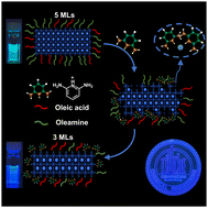 Graphical abstract: Multifunctional ammonium salts synergizing etching and passivation capability enable efficient deep-blue CsPbBr3 nanoplates