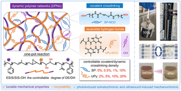 Graphical abstract: Stimuli responsive dynamic polymer networks with tunable toughness and elasticity through the regulation of covalent crosslinking and reversible hydrogen bonds