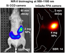 Graphical abstract: Deep-tissue NIR-II bioimaging performance of Si-based and InGaAs-based imaging devices using short-wave infrared persistent luminescence