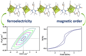 Graphical abstract: Coexistence of magnetic ordering and ferroelectricity in a Dy-nitronyl nitroxide chain