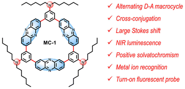 Graphical abstract: A donor–acceptor cross-conjugated phenazine macrocycle with a large Stokes shift for sensing transition metal ions with “turn-on” fluorescence