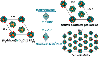 Graphical abstract: Metal ion-dependent structural phase transition and impact of the Jahn–Teller effect in two organic–inorganic hybrid compounds