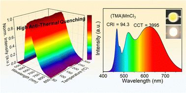 Graphical abstract: Near-unity PLQY and high anti-thermal quenching red luminescence from one-dimensional hybrid manganese chloride for efficient and stable white light-emitting diodes