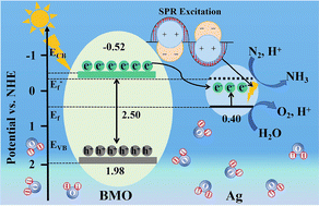 Graphical abstract: Plasma Ag nanoparticles loaded on Bi2MoO6 to enhance surface oxygen vacancies for efficient nitrogen conversion to ammonia