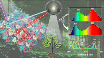 Graphical abstract: Ca18Na3Y(PO4)14:Eu2+,Mn2+: a novel single-phase dual-emission phosphor and its spectral modulation by Mg2+ for plant lighting and WLEDs