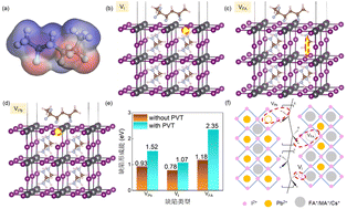 Graphical abstract: A sensitive self-powered perovskite photodetector via noise suppression with poly(vinylidene fluoride–trifluoroethylene) doping for defect passivation