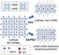 Graphical abstract: Efficient sky-blue perovskite light-emitting diodes by regulating the quantum well distribution of quasi-2D perovskites by suppressing lattice distortion