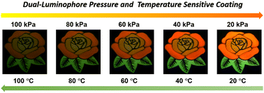 Graphical abstract: AIEgen-incorporated nanoparticles as a probe for the construction of dual-luminophore pressure- and temperature-sensitive coatings