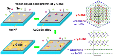 Graphical abstract: Understanding the growth mechanisms of γ-GeSe for polymorph-selective large-area deposition