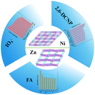 Graphical abstract: Highly stable Ni(ii)/Zn(ii)-CPs as multiresponsive luminescent sensors for detection of IO4−, 2,6-dichloro-4-nitrophenol and folic acid