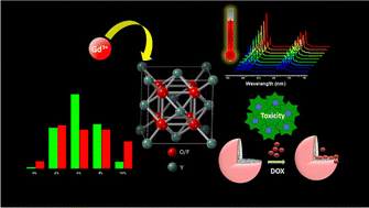 Graphical abstract: Exploring the potential of lanthanide-doped oxyfluoride materials for bright green upconversion and their promising applications towards temperature sensing and drug delivery