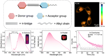 Graphical abstract: Long-wavelength dual-state luminescent naphthalimide derivatives for bio-imaging