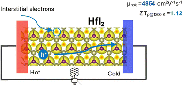 Graphical abstract: Effects of loosely bound electrons and electron–phonon interaction on the thermoelectric properties of electrenes