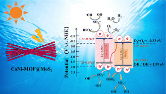 Graphical abstract: Bimetallic CoNi-metal–organic framework@molybdenum disulfide core–shell Z-scheme heterojunctions with broad-spectrum response toward optimized photocatalytic performance