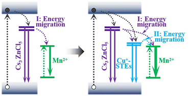 Graphical abstract: Boosting green emission in Mn(ii)-doped Cs3ZnCl5 by introducing an energy transfer mediator