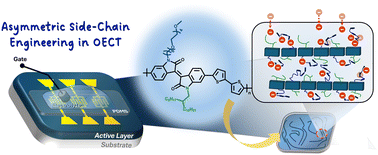 Graphical abstract: Asymmetric side-chain engineering of conjugated polymers with improved performance and stability in organic electrochemical transistors