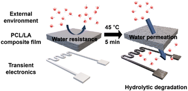 Graphical abstract: Heat-stimulated lifetime-controllable encapsulation for transient electronics