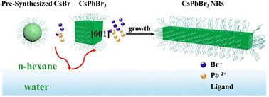 Graphical abstract: Water-induced controllable synthesis of CsPbBr3 nanorods/nanocubes from CsBr nanocrystals