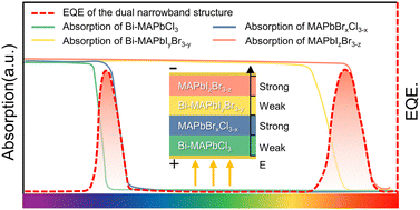 Graphical abstract: Dual narrowband photodetectors based on halide perovskite single crystal heterojunctions with solution-processed epitaxial growth