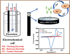 Graphical abstract: MoS2@MWCNT modified glassy carbon electrode for electrochemical mercury(ii) ion sensors