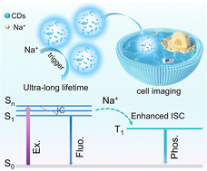 Graphical abstract: Na+: the key to ultra-long afterglow lifetimes of CDs in dense SiO2 matrices