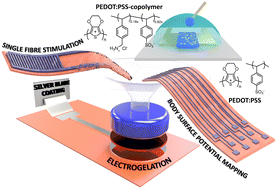 Graphical abstract: Electrogelation of PEDOT:PSS and its copolymer for bioelectronics