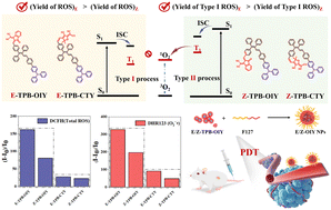 Graphical abstract: An E/Z isomer strategy of photosensitizers with tunable generation processes of reactive oxygen species