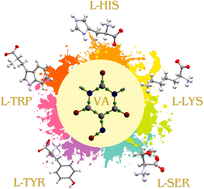 Graphical abstract: Deciphering colour mechanisms in co-crystals and salts containing violuric acid and chosen l-amino acids
