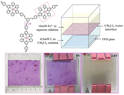 Graphical abstract: Interfacial self-assembly of a rigid-flexible terpyridine-Fe(ii) supramolecular film and the electrochromic performance of its solid-state devices