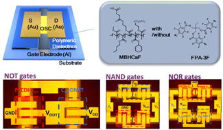 Graphical abstract: Fluorinated polymeric insulating layer surface advancement by fluorine based cross-linking for high-performance organic electronic applications