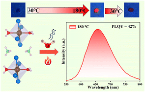 Graphical abstract: Thermally induced reversible phase transition and photoluminescence switching behavior of (NH4)2MnBr4(H2O)2 crystals