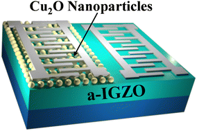 Graphical abstract: Recognition of NO2 and O3 gases using patterned Cu2O nanoparticles on IGZO thin films through machine learning