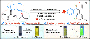 Graphical abstract: Diversity-oriented synthesis enables the rapid development of quinoxaline-based bis-boron fluorophores: photophysical properties and sensing applications