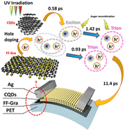 Graphical abstract: Noise suppression of 0D/2D flexible photodetectors mediated with atomically thin F–C functionalization on graphene channel