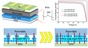 Graphical abstract: Efficient and stable perovskite solar cells based on insulating polymer modified ZnO nanoparticles