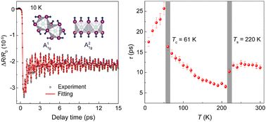 Graphical abstract: Ultrafast carrier and coherent phonon dynamics in van der Waals ferromagnet CrI3