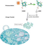 Graphical abstract: Synergistic bio-inspired photocatalytic hydrogen production by chlorophyll derivative sensitized Nb2CTx MXene nanosheets