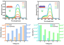 Graphical abstract: Cu2O/Ga2O3 pn-junction photodetector with low dark current and high detectivity