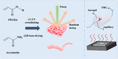 Graphical abstract: Aerogel for random lasing and sensors with thermal insulation