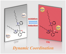 Graphical abstract: An electrochromic device based on dynamic coordination and the dissociation of Fe2+/Fe3+ and a leuco dye with an improved cycle life