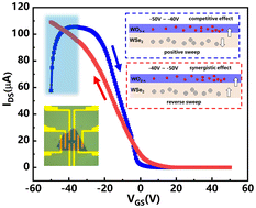 Graphical abstract: Negative differential transconductance effects on anomalous n-type characteristics in p-type WSe2 semiconductor field effect transistors