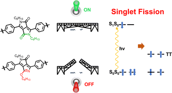 Graphical abstract: Switching intramolecular singlet fission in tetracene dimers via subtle changes in bridges