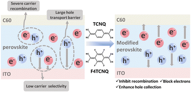 Graphical abstract: Rational molecular doping to enhance interfacial carrier dynamics for reliable hole transport layer-free perovskite solar cells