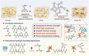 Graphical abstract: A mechanically strong, ultra-tough and room-temperature self-healing ionic conductive elastomer based on octopus-like physical cross-linker tannic acid and a robust polyurethane substrate