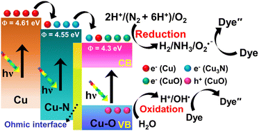 Graphical abstract: In situ-engineered interfaces in copper oxynitride (CuxOyNz) systems with synergistic properties for photocatalytic H2 production and N2 fixation applications