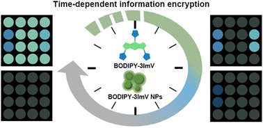 Graphical abstract: A dynamic solvent-modulated single-component emissive system for information encryption