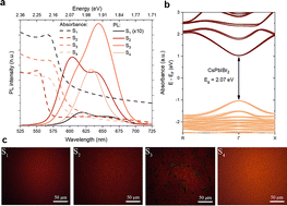 Graphical abstract: Suppression of phase segregation in red CsPbIBr2-based perovskite LECs/LEDs: impact of Mn doping, crystallization control, and grain passivation